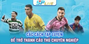Các cách trở thành cầu thủ chuyên nghiệp