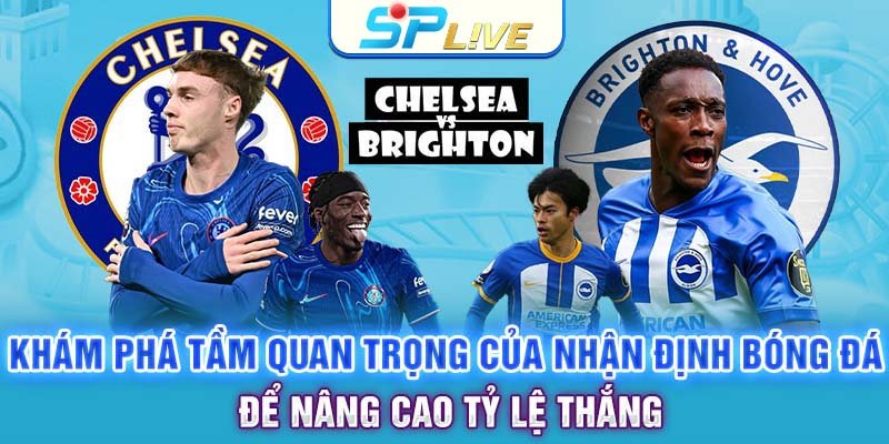 Khám phá tầm quan trọng của nhận định bóng đá để nâng cao tỷ lệ thắng
