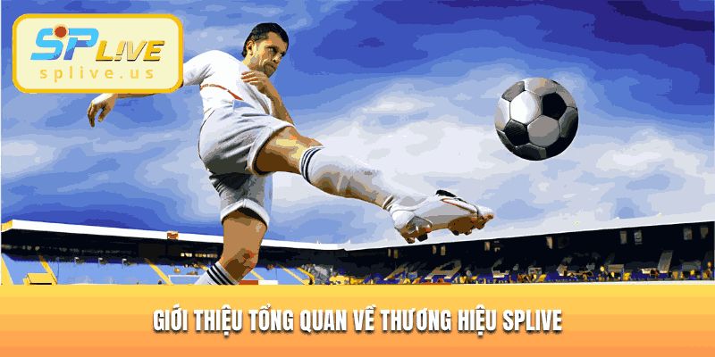 Giới thiệu tổng quan về SPLIVE thương hiệu