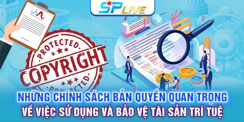 Những chính sách bản quyền quan trọng về việc sử dụng và bảo vệ tài sản trí tuệ