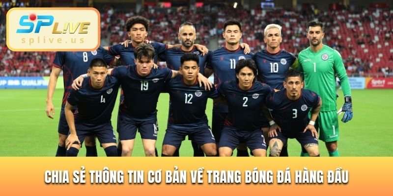 Chia sẻ thông tin cơ bản về trang web bóng đá hàng đầu