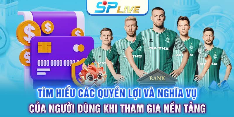 Tìm hiểu các quyền lợi và nghĩa vụ của người dùng khi tham gia nền tảng