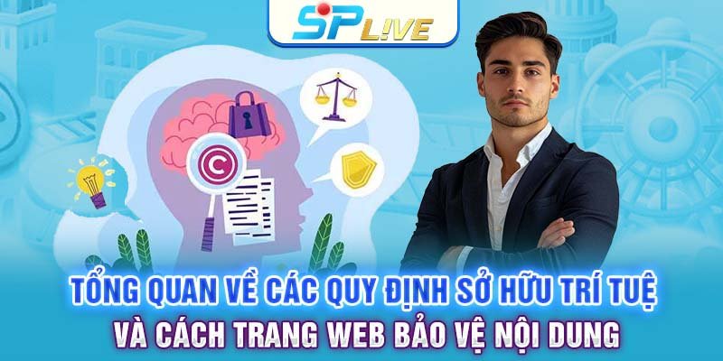 Tổng quan về các quy định sở hữu trí tuệ và cách trang web bảo vệ nội dung